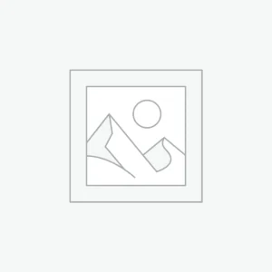 Delone Smartwatch